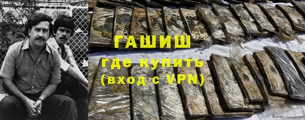 шишки Белокуриха