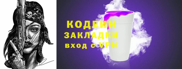 шишки Белокуриха