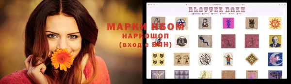 стаф Покачи
