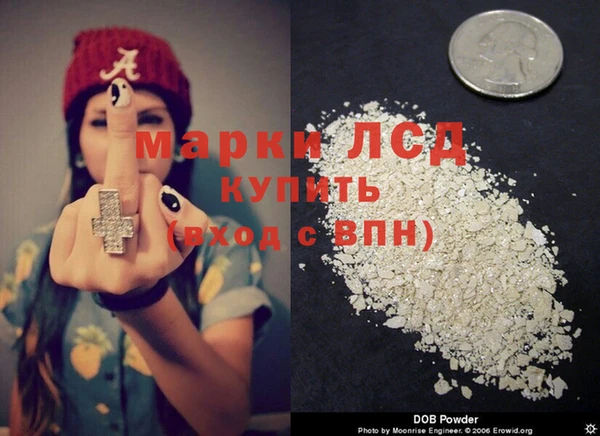 шишки Белокуриха