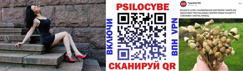 хочу   Великие Луки  Галлюциногенные грибы Magic Shrooms 